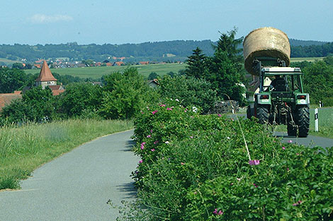 Landliche Oase in Unterferrieden